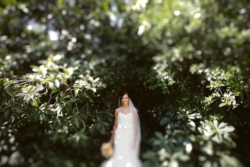 Green leaves surround a bride in the Laguna Gloria garden.