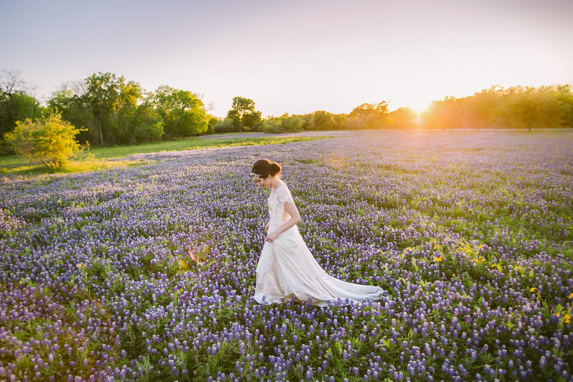 Bride walks through field of bluebonnets at sunset