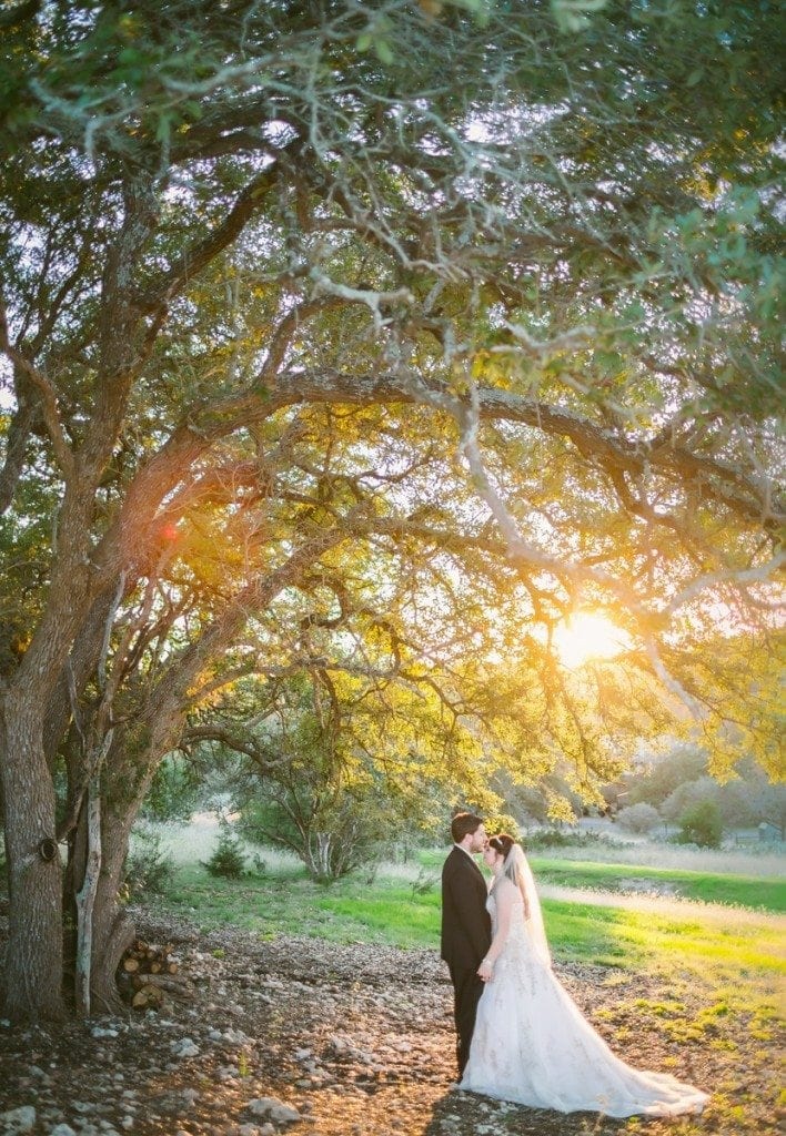 Groom kisses the bride's forehead underneath a tree at sunset at Gabriel Springs.