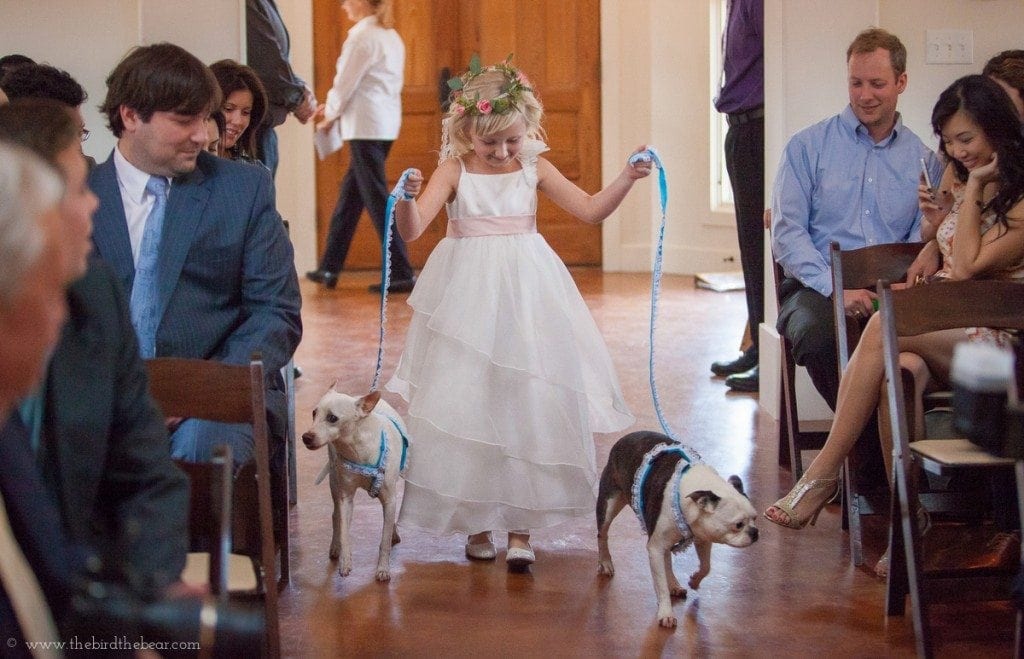 dogs-in-wedding