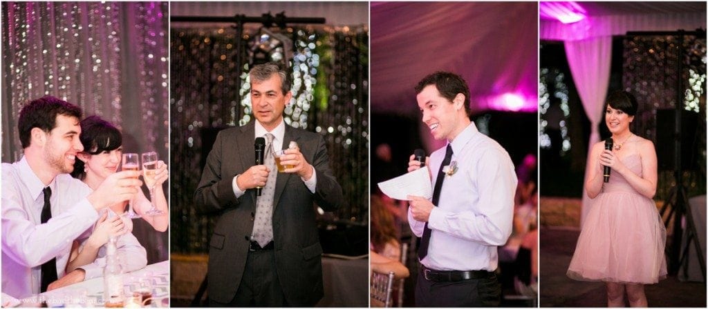wedding toasts during reception