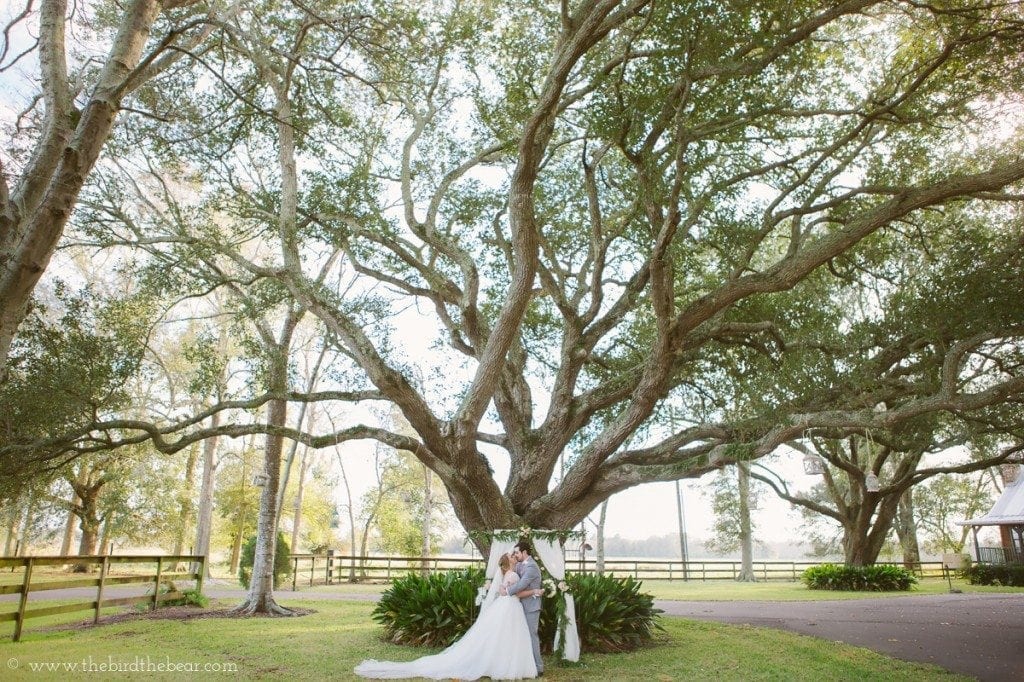 Beautiful wedding at Broussard Farm in Beaumont, Tx.