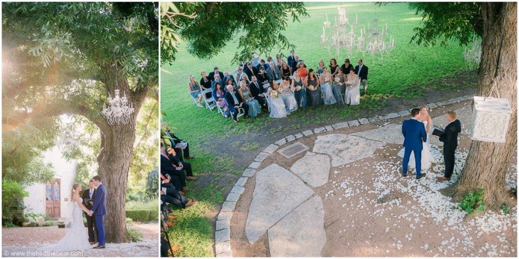 Bride and Groom hold hands in front of huge tree