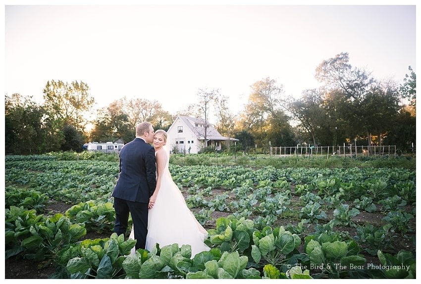 Springdale Farm Wedding Photographer